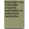 Beginselen van menselijke anatomie, weefselleer en celleerDeel: weefselleer door A. Vral
