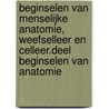 Beginselen van menselijke anatomie, weefselleer en celleer.Deel beginselen van anatomie by K.G. Toutnoy