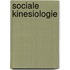 Sociale kinesiologie