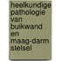 Heelkundige pathologie van buikwand en maag-darm stelsel