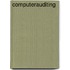 Computerauditing