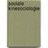 Sociale kinesociologie