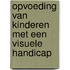 Opvoeding van kinderen met een visuele handicap
