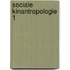 Sociale kinantropologie 1