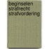 Beginselen strafrecht strafvordering
