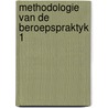 Methodologie van de beroepspraktyk 1 door Laekeman