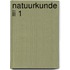 Natuurkunde ii 1