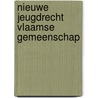 Nieuwe jeugdrecht vlaamse gemeenschap by Dupont