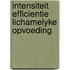 Intensiteit efficientie lichamelyke opvoeding