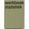 Werkboek statistiek door Waterplas
