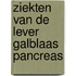 Ziekten van de lever galblaas pancreas