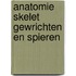 Anatomie skelet gewrichten en spieren