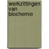 Werkzittingen van biochemie