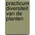 Practicum diversiteit van de planten