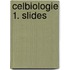 Celbiologie 1. Slides
