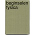 Beginselen fysica