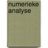 Numerieke analyse