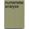 Numerieke analyse by Jeugt
