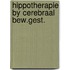 Hippotherapie by cerebraal bew.gest.