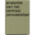 Anatomie van het centraal zenuwstelsel