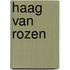 Haag van rozen