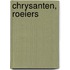 Chrysanten, roeiers