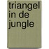Triangel in de jungle