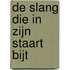 De slang die in zijn staart bijt