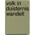 Volk in duisternis wandelt