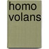 Homo volans