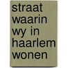 Straat waarin wy in haarlem wonen door Kurtz