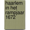 Haarlem in het rampjaar 1672 by Langendult