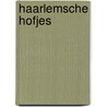 Haarlemsche hofjes by Craandyk
