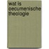 Wat is oecumenische theologie
