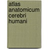 Atlas anatomicum cerebri humani by Jelgersma