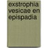 Exstrophia vesicae en epispadia