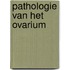 Pathologie van het ovarium