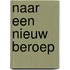 Naar een nieuw beroep