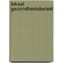 Lokaal gezondheidsbeleid