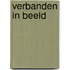 Verbanden in beeld