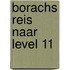 Borachs reis naar level 11