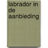 Labrador in de aanbieding