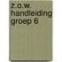 Z.O.W. HANDLEIDING GROEP 6
