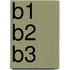 B1 B2 B3