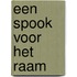 Een spook voor het raam