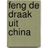 Feng de draak uit china