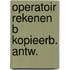 Operatoir rekenen b kopieerb. antw.