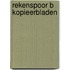 Rekenspoor b kopieerbladen