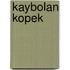 Kaybolan kopek