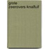 Grote zeerovers-knalfuif